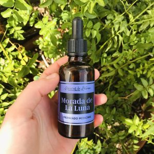 MORADA DE LA LUNA