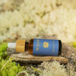 Elixir MAGOI -Hombre sabio