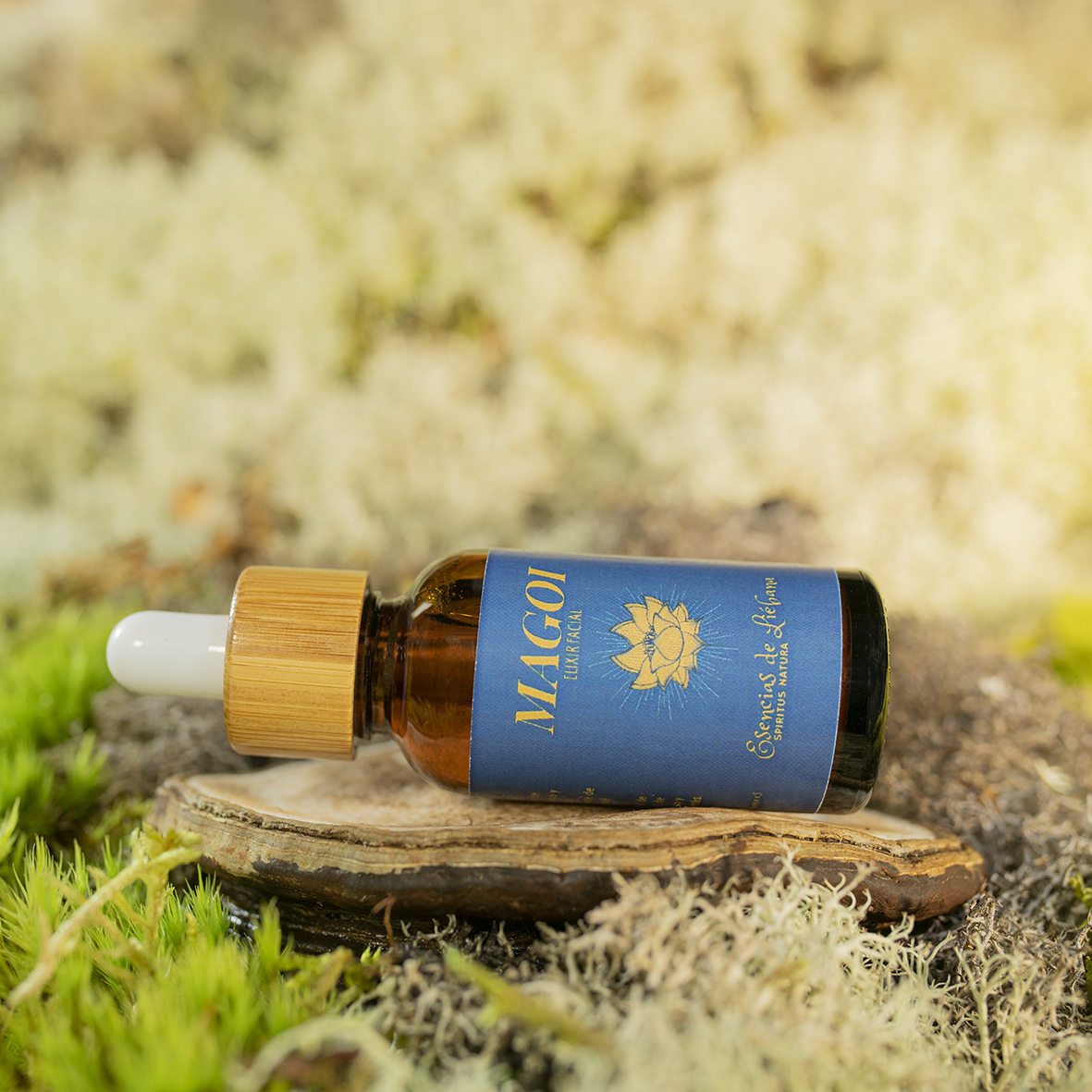 Elixir MAGOI -Hombre sabio