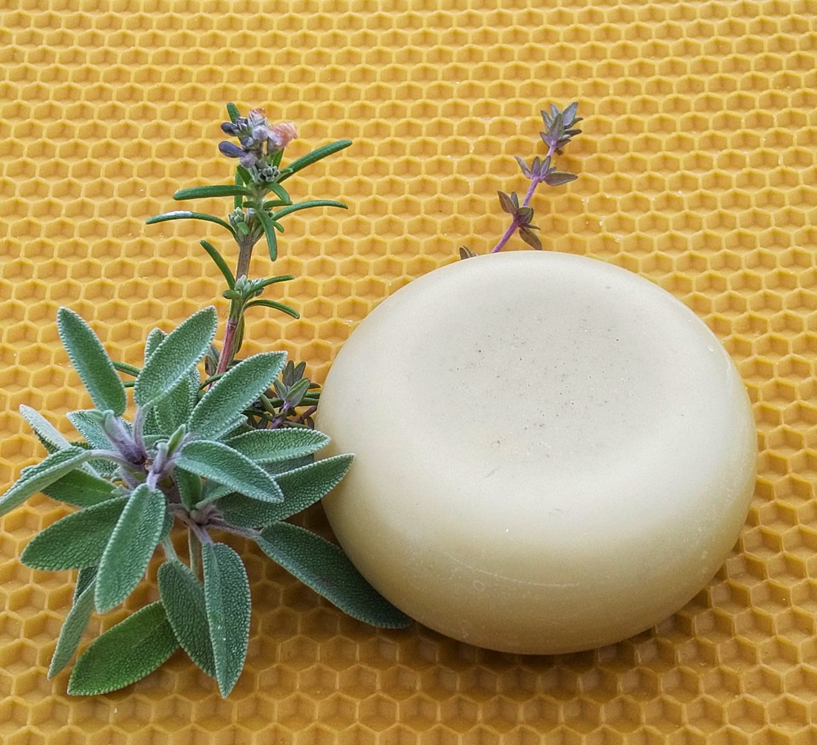 Crema nutritiva sólida SPRING - Imagen 2