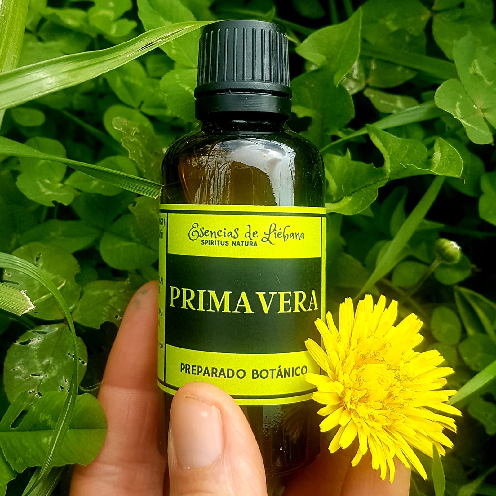 Preparado Botánico de PRIMAVERA