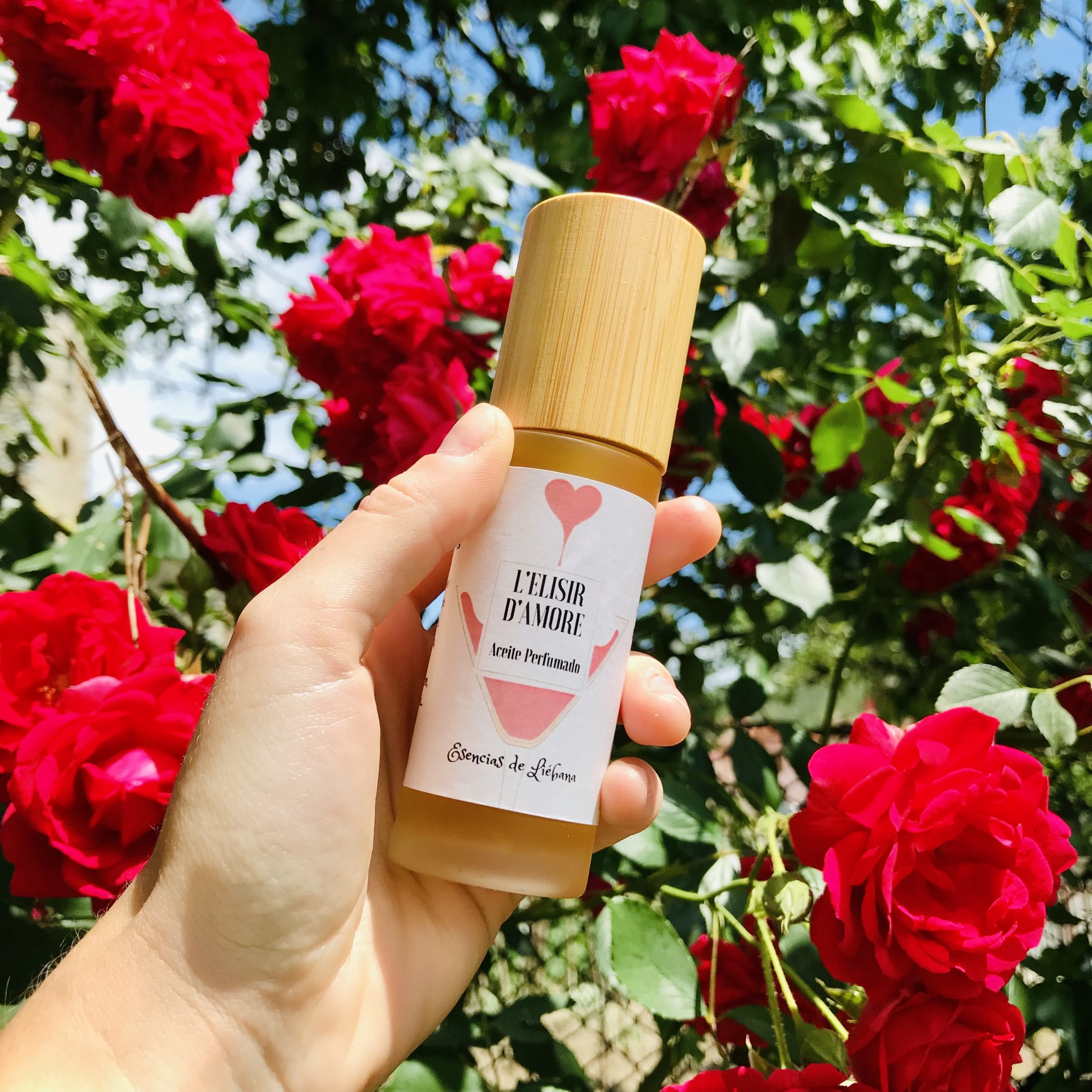 L’elisir d’amore